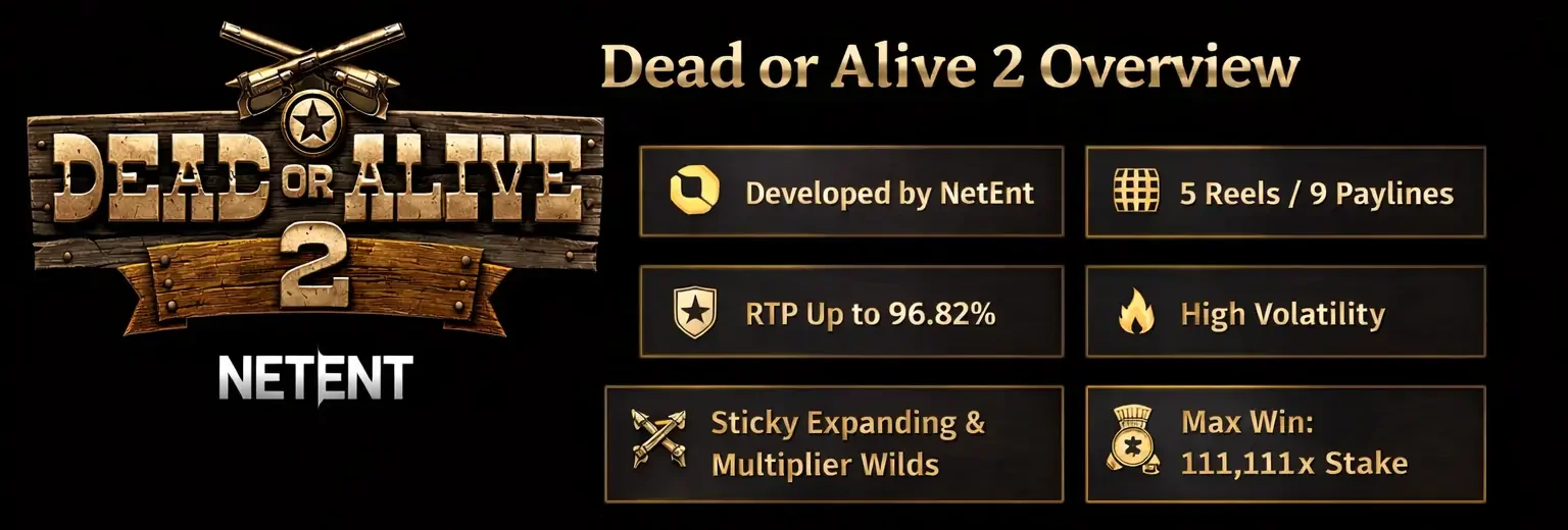 Dead or Alive 2 Overview